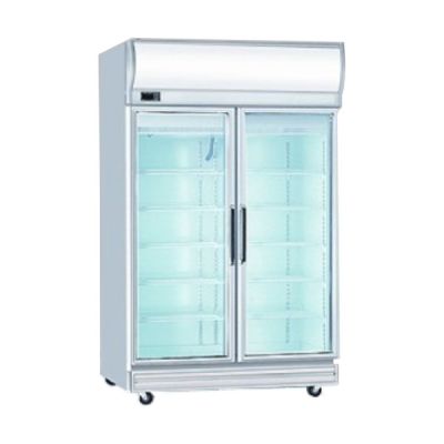 AR Double Heated Glass Door High Humid 2 Glass Door Chiller ARF2GLSDRCHH