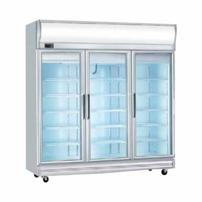 AR Double Heated Glass Door High Humid 3 Glass Door Chiller ARF3GLSDRCHH