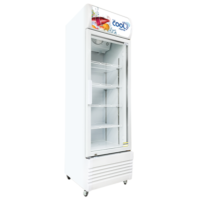 THE COOL Single Door Upright Cooler DENISE-370S