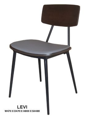 Levi Dining Chair | Cushion Seat | Steel Frame in Epoxy 