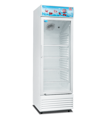 [PRE-ORDER] SNOW 1 Door Display Chiller LG4-348