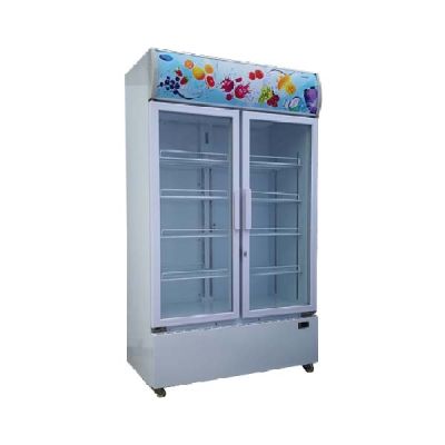 SNOW 2 Door Chiller LY700BBC-E