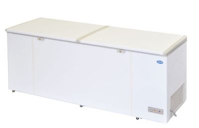 Snow Chest Freezer (Lifting Door Series) LY750LDD