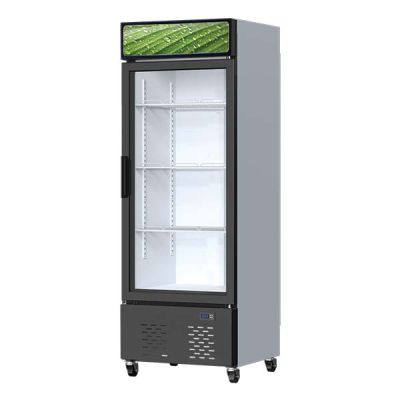 REDOR 1 DOOR DISPLAY CHILLER (BEVERAGE COOLER) RD-578FDX