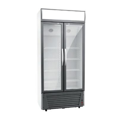 REDOR 2 DOOR GLASS DISPLAY CHILLER 680L RDJ-800