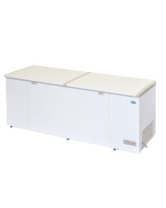 Snow Chest Freezer (Lifting Door Series) LY750LDD